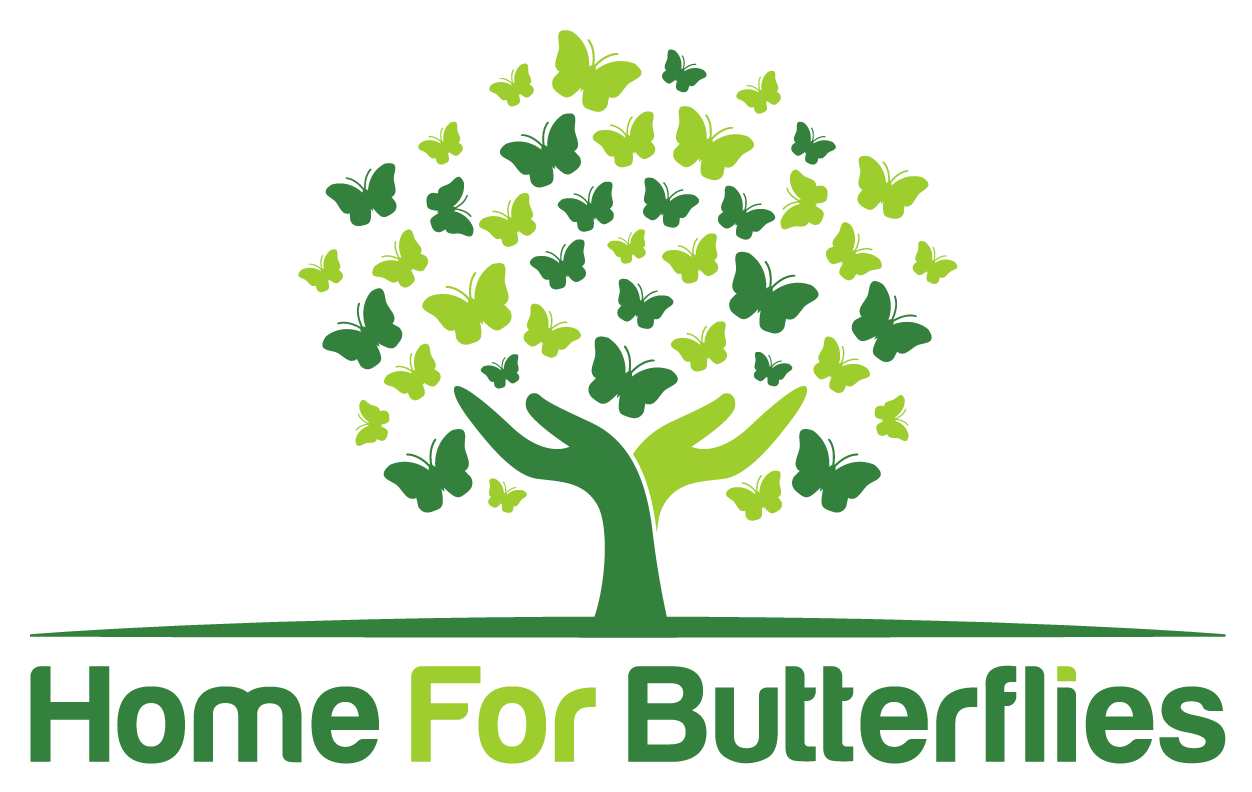 Home For Butterflies